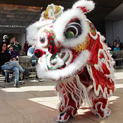 Kick Off the Year of the Dog with Lunar New Year Celebration