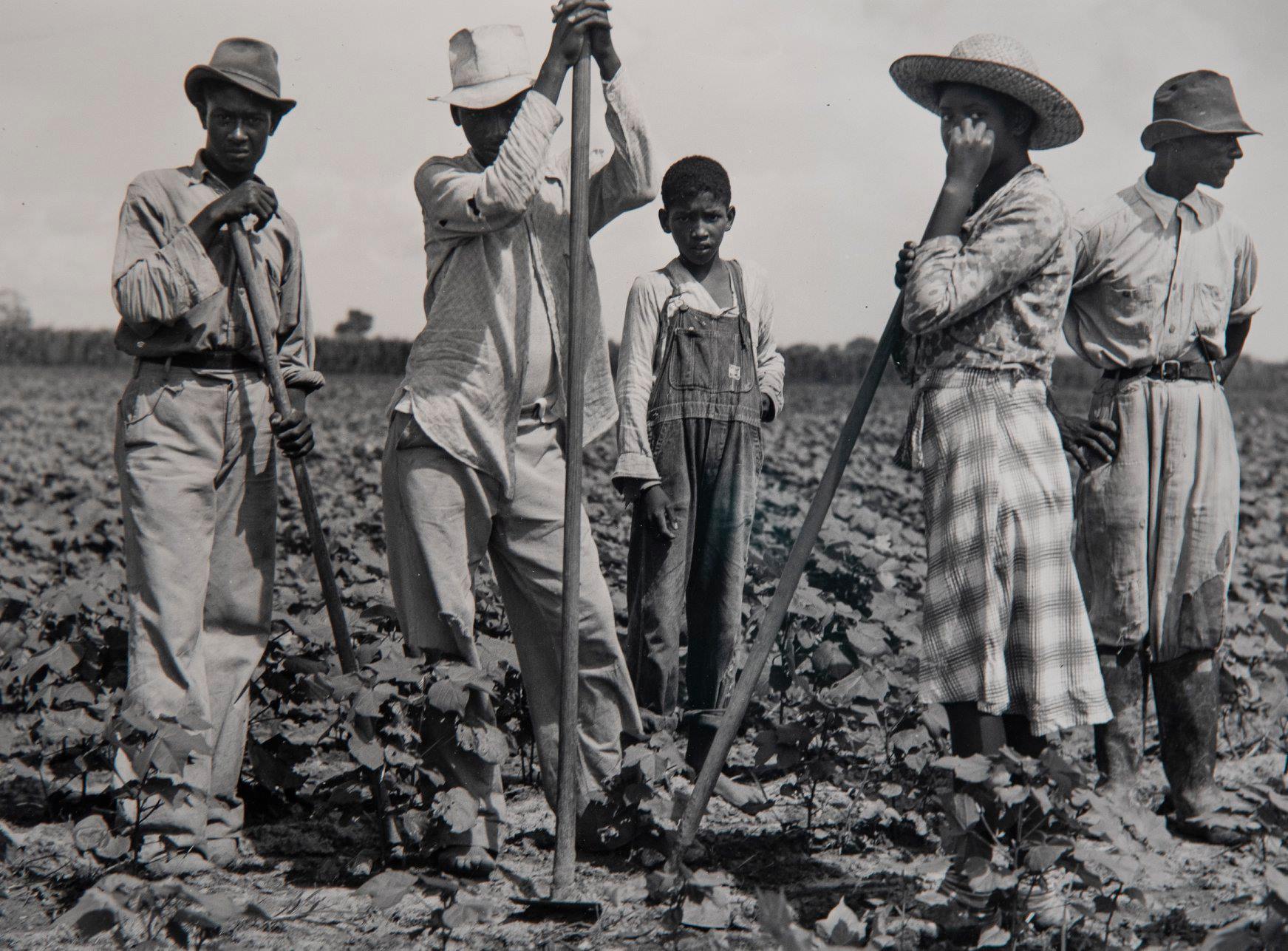 Black and white print of men and women working in a field on a plantation
