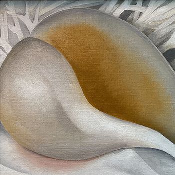 Georgia O'Keeffe (1887-1986), Shell (detail), 1937, oil on canvas, 9 1/2
