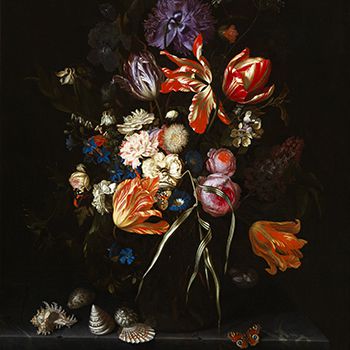 Maria van Oosterwyck (Dutch, 1630–1693), Still Life of Flowers in a Glass Vase (detail), c. 1685, oil on canvas, 31 3/4 x 26 1/4 in. (80.6 x 66.7 cm), Joslyn Art Museum, Omaha, Nebraska, Museum purchase with funds from the Ethel S. Abbott Art Endowment Fund and the General Art Endowment Fund, 2019.4. Photograph © Bruce M. White, 2019