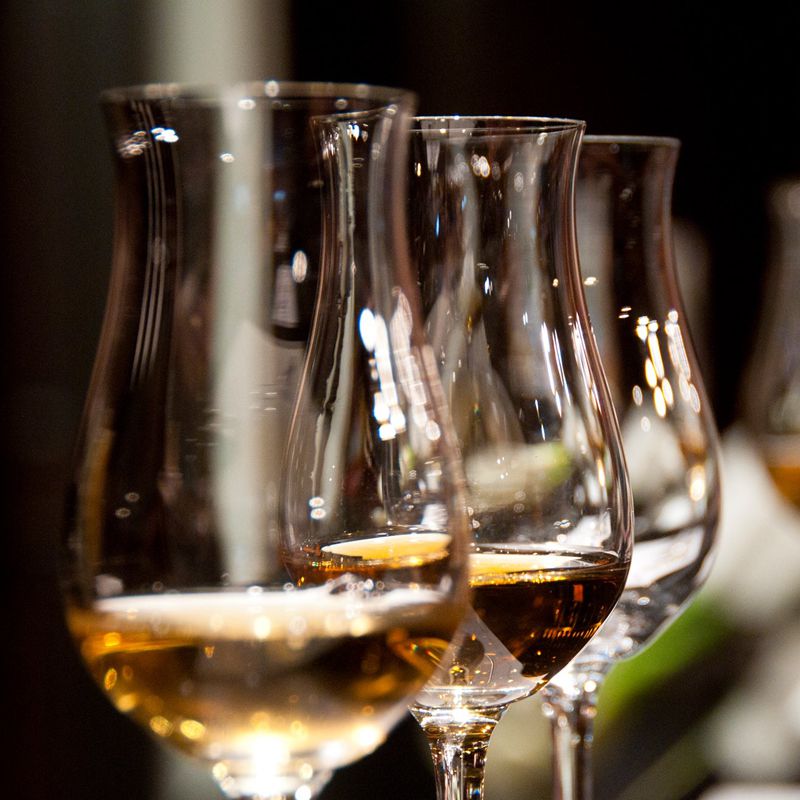 Sample more than 40 wines from around the world while you enjoy live music and expertly paired hors d’oeuvres and desserts.
