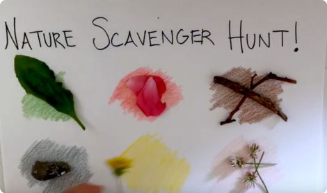 Nature Scavenger Hunt