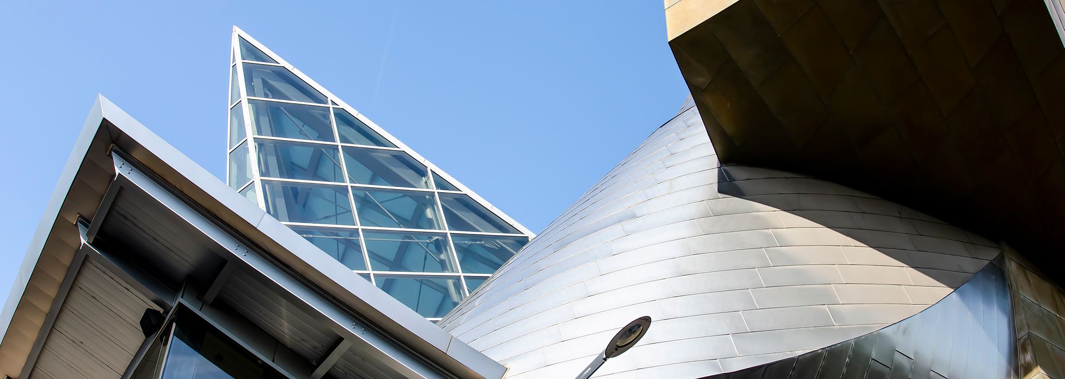 Taubman Museum Main Banner