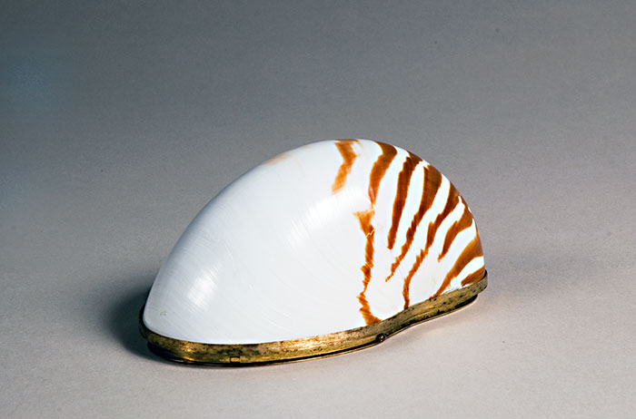 Judith Peto Leiber, Nautilus, 1995, nautilus shell, vermeil, 3 x 3 1/4 x 6 in., gift of Rosalie and Sydney Shaftman, 2008.053