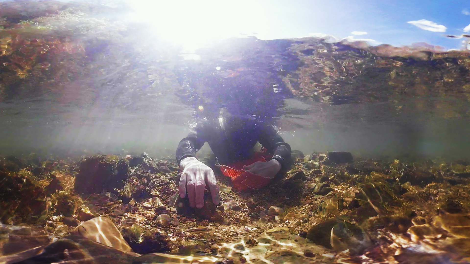 Benthos 360