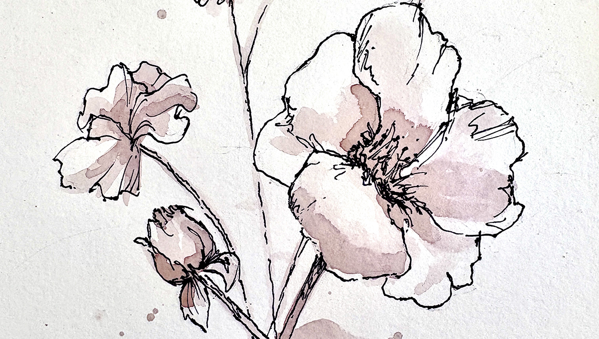 A watercolor painting featuring black outlined flowers painted with pinks and purples