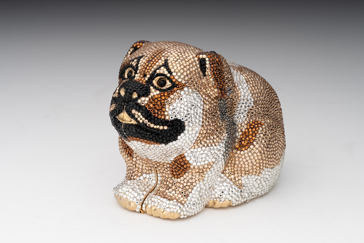 All About Animals Camp