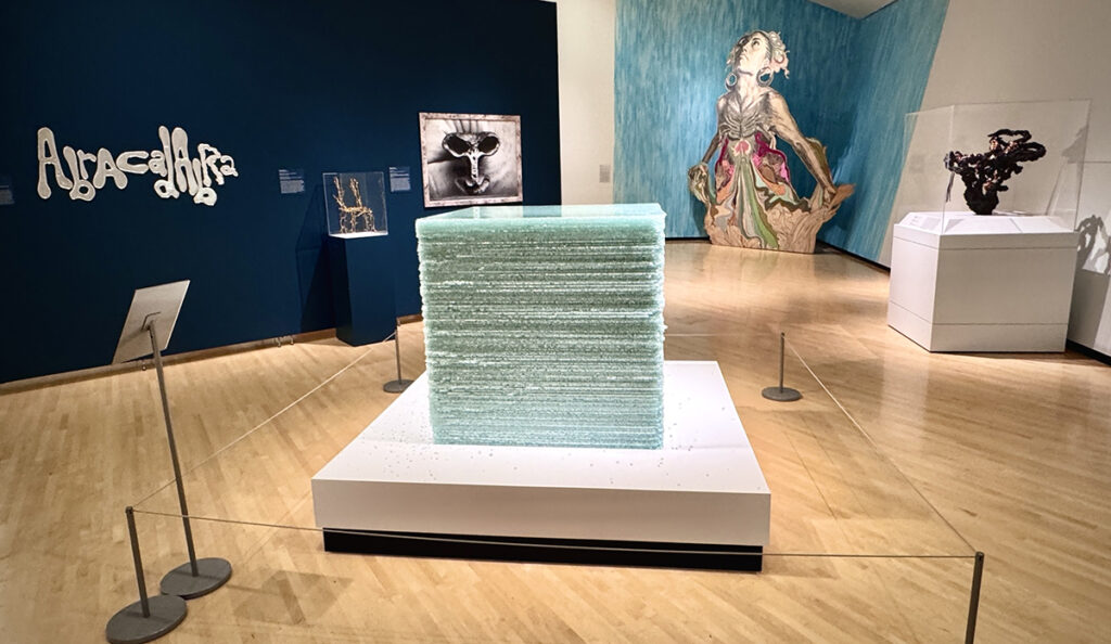 June Member Hour: 75th Anniversary and New Visions for the Permanent Collection