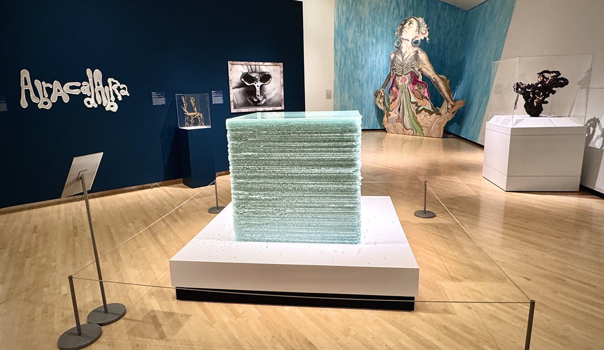 June Member Hour: 75th Anniversary and New Visions for the Permanent Collection