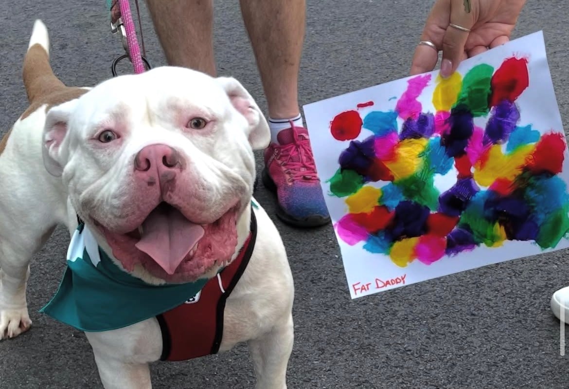 Pop PUPmuseum