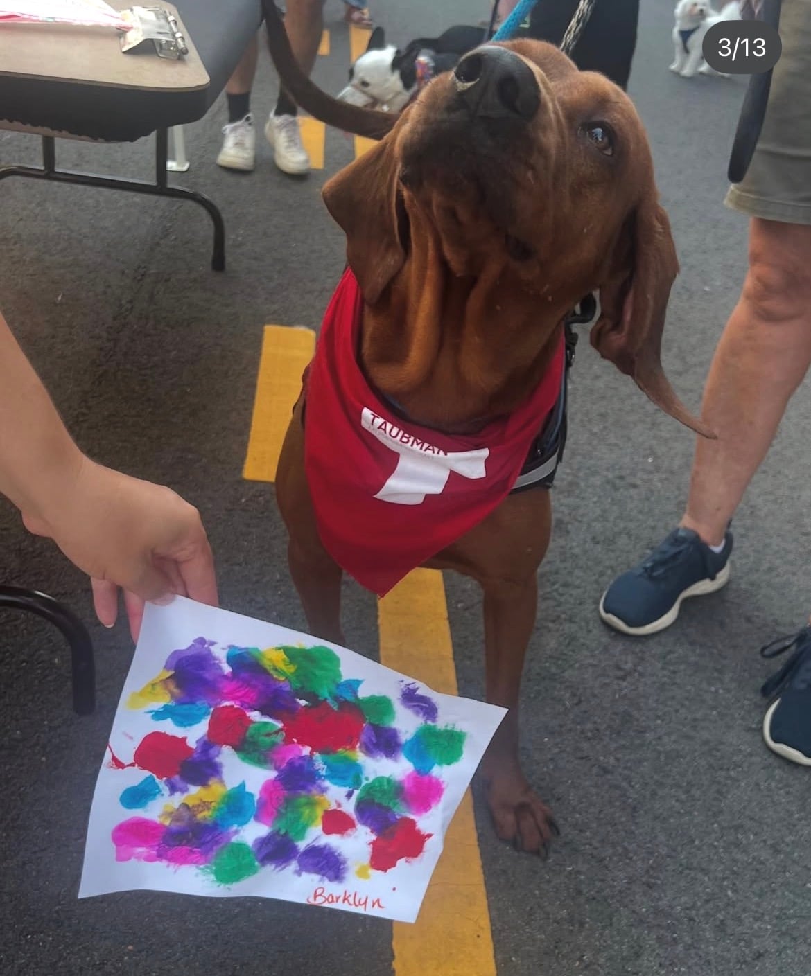 Pop PUPmuseum